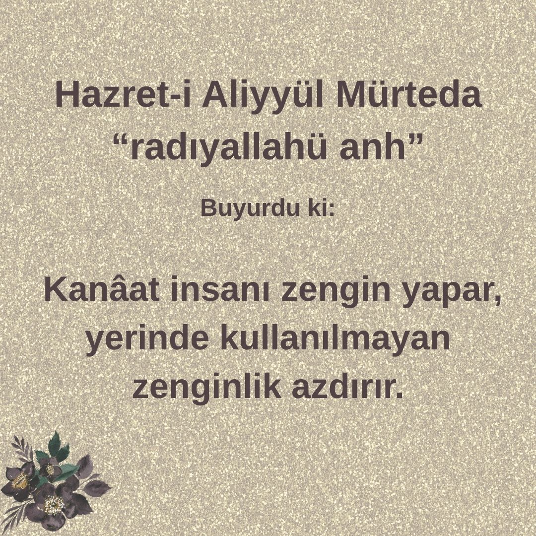 Aliyyül Mürteda (41)